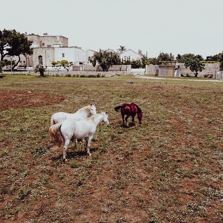 Masseria Francescani Torre Chianca Eksteriør bilde